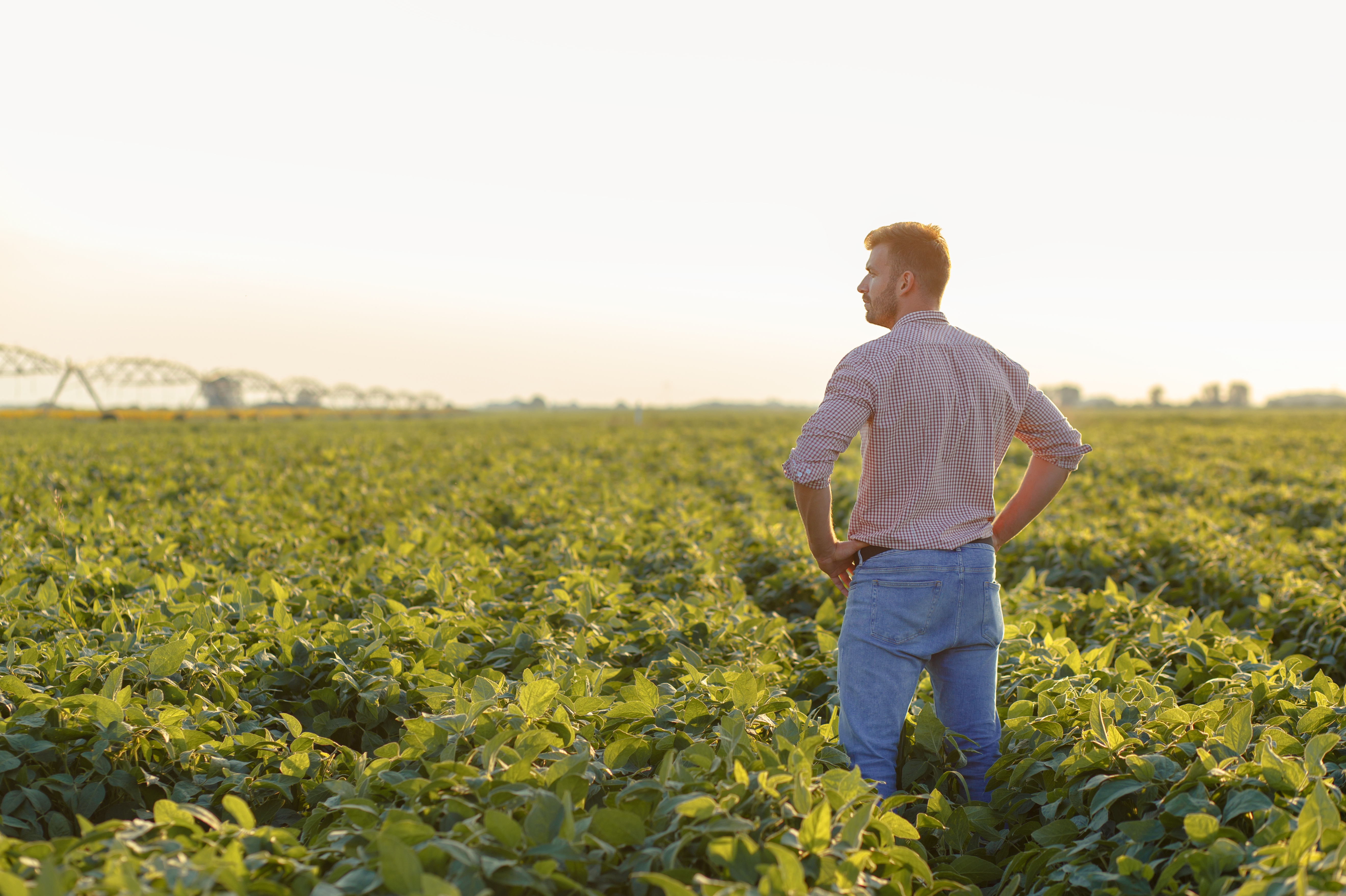 Man standing on field of crops