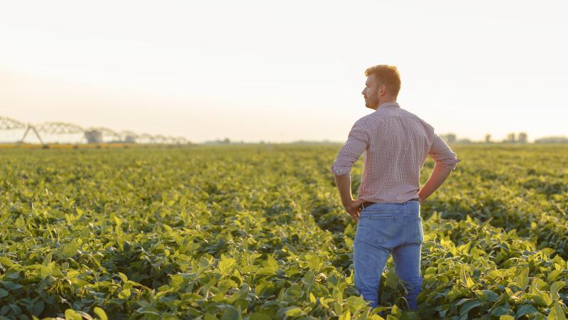 Man standing on field of crops