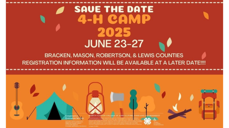 4-H Camp flyer